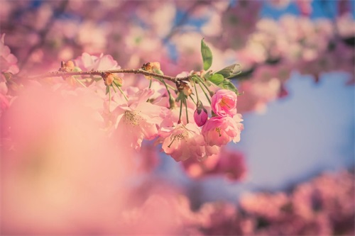 中秋节团圆祝福说说 中秋团圆夜祝福语